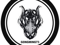 gongming73