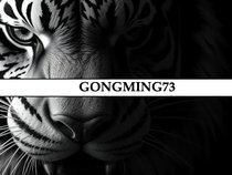 gongming73
