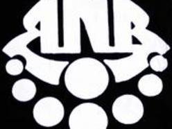 Image for Ron Noyes Band