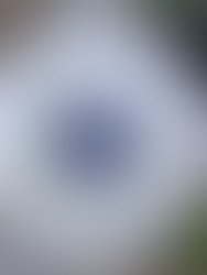 Img 0584