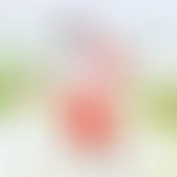 Fb img 16201078296012015