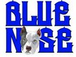 Blue Nose Music