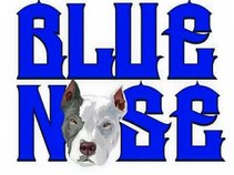 Blue Nose Music