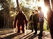 Dead Meadow