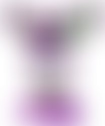 Ac3293e4c68c8104e2f6516cca4ab8cd812b7e2b