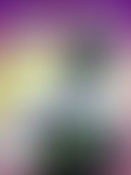 Fb img 15591613942508207