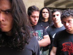 Cadaveria Col.