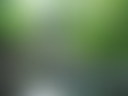 Artist 7588816 1645481097 1 