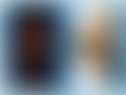 1451749852 pf2016jaj 1 