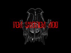 Red Stoned Dog