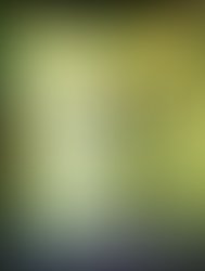 Ganja brainz album art