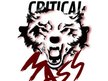 CRITICAL MASS