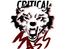 CRITICAL MASS