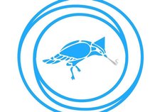 The Smokin’ Jays