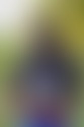 Img 20190605 wa0032