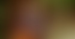 Image 4b2d9470b312af9f9370d74b841fb903