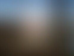 Artist 6585089 1646038201