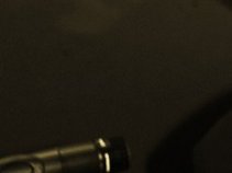 Livestock Davies & the Lowdown Snakes