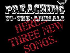 Image for Preaching to the Animals