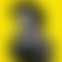 Giallo bw elisa neri