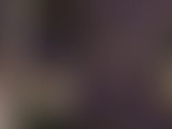 17201259 125419797986296 2448507373327455466 n