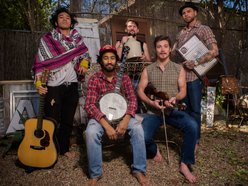 Whiskey Shivers
