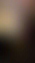 Img 3365