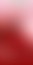 Img 20191130 064040 518