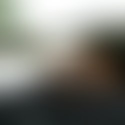 Photo 1563229119799