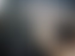 Artist 6618522 1564061760