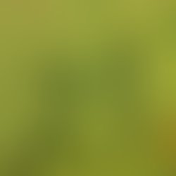 Artist 6618741 1577823624