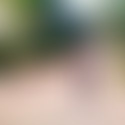 Artist 6620192 1568982032