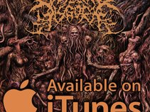 Visceral Disgorge
