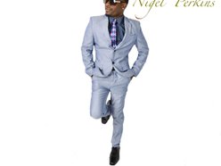 Image for Ni-gel