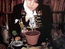 L'Arc~en~Ciel