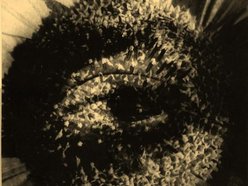Image for Sammy Ibrahim