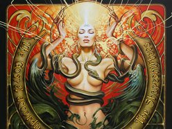 Image for Shawn James & The Shapeshifters
