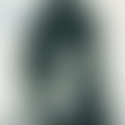 Artist 667400 1649872450