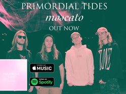 Image for Primordial Tides