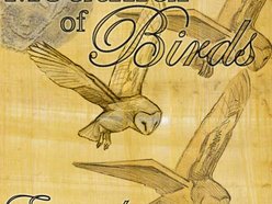 Image for Mouthful of Birds
