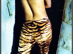 Image for Cambre