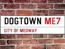 Dogtown