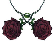 Scarlet Thorns