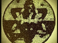 Image for Inside The Beehive