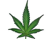 Marijuana Records