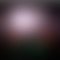 Artist 6718552 1573039860