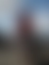 275