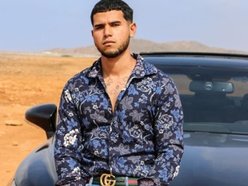 Willow In The Building