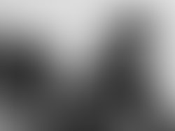 Img 20200330 145815 2