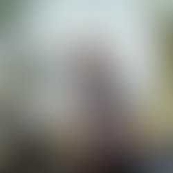 86268087 176416663801747 1621330496174686208 n